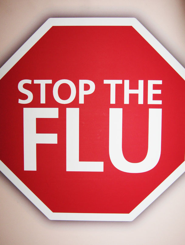 Picture of H1N1 sign that reads "Stop The Flu"